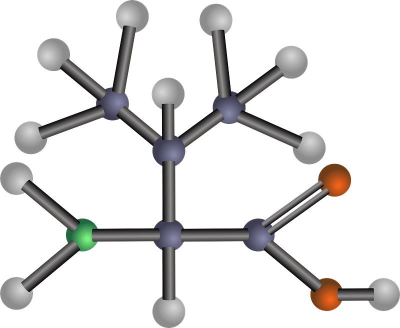 Valine (Amino Acid)