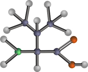 Valine (Amino Acid)