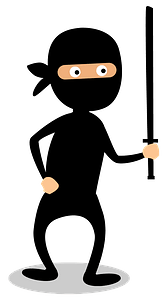 Ninja