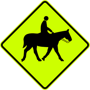 New Zealand road sign W16-8-FYG