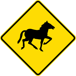 New Zealand road sign W18-3.4