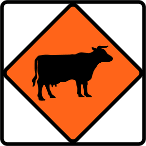 New Zealand road sign W3-4.1B
