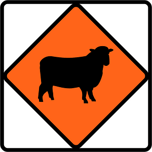 New Zealand road sign W3-4.2B