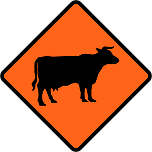New Zealand road sign W3-4.1A