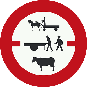 Nederlandse Wegenverkeersregeling 1966 figuur 31