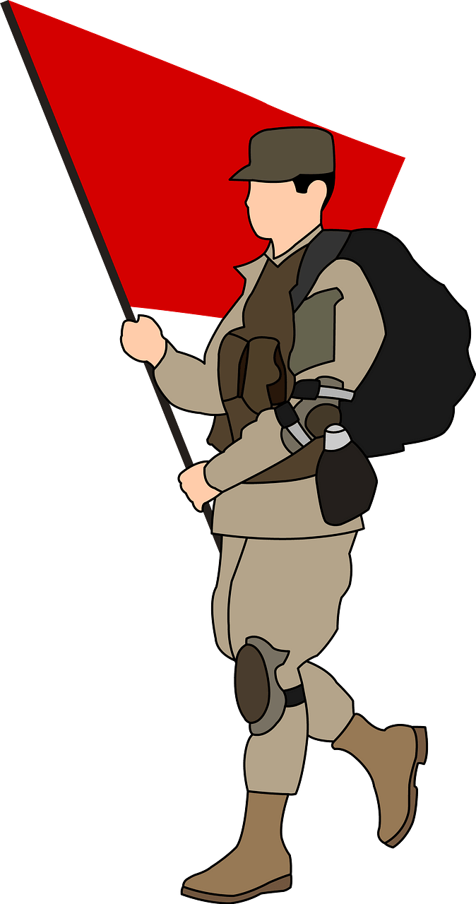 Flag carrier