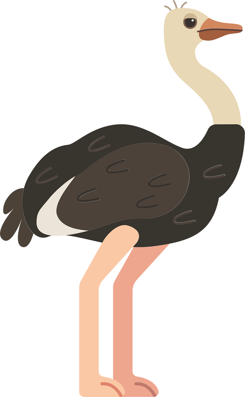 Autruche