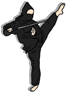 Ninja