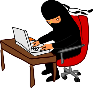 Ninja with a laptop