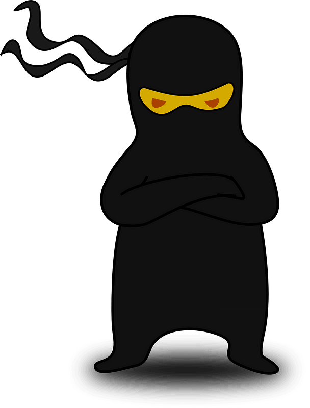 Ninja