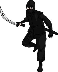Ninja