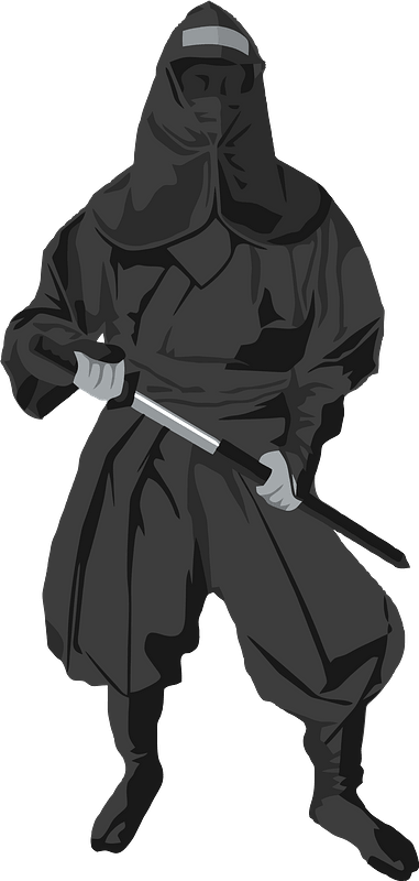 Ninja
