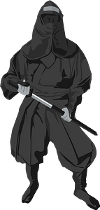 Ninja