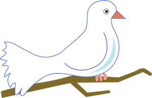 Dove