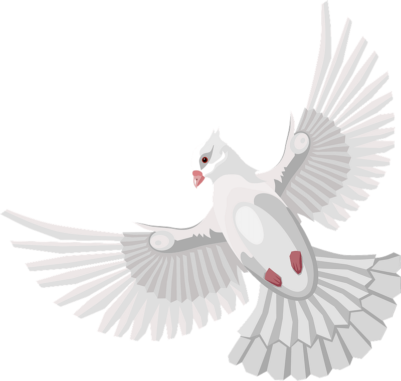 Dove