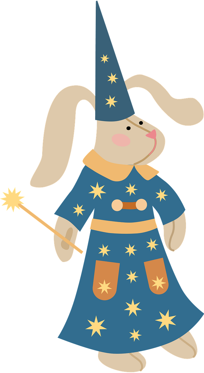 Cristmas Bunny Wizard