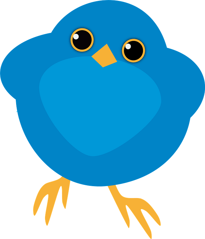 Cartoon blue bird