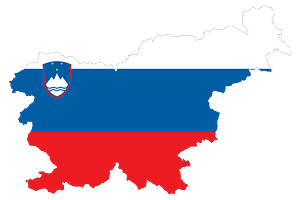 Slovenia Map Flag with Stroke