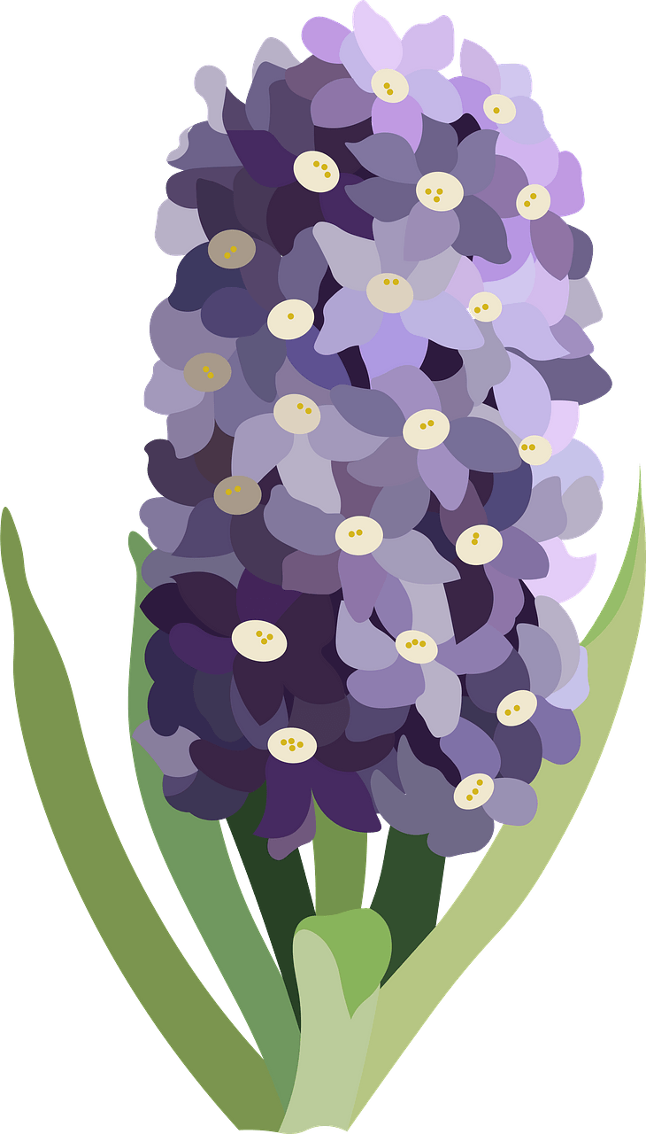 Purple flower