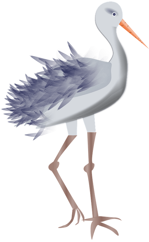 Stork