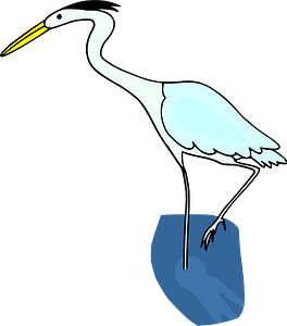 Crane bird