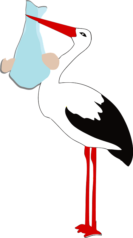 Stork holding a baby boy