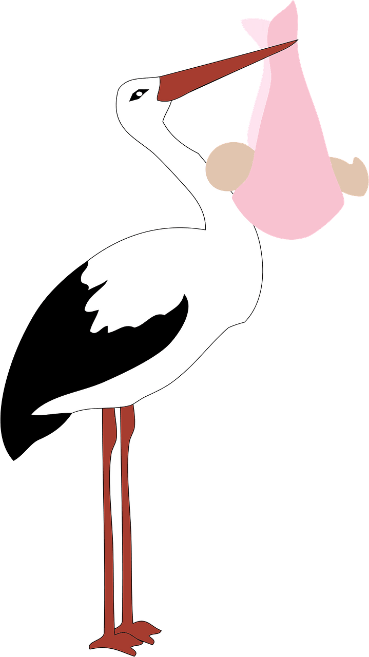 Stork holding a baby girl