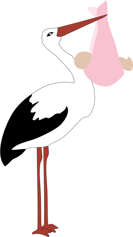 Stork holding a baby girl