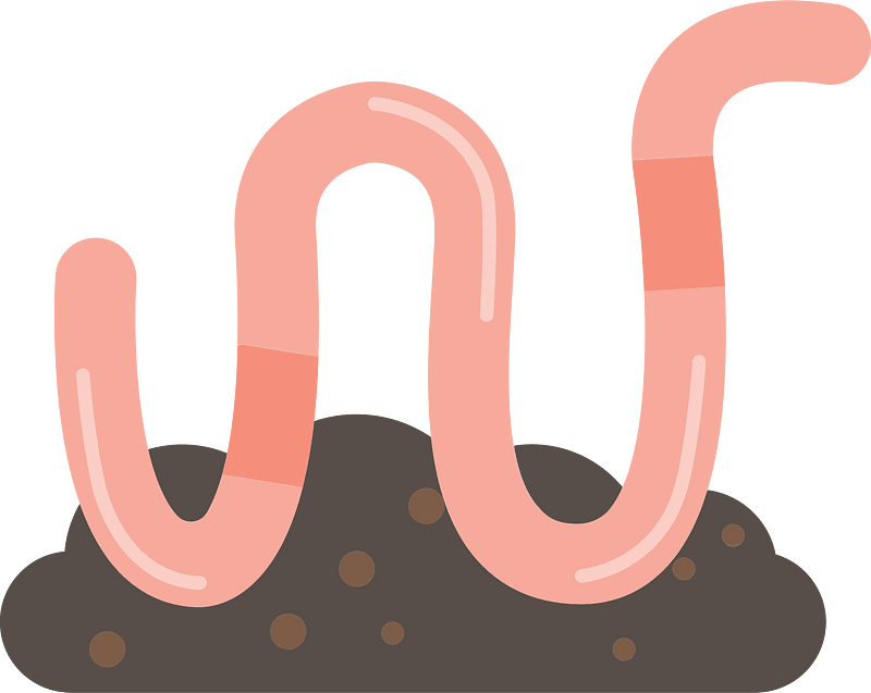 Earthworm