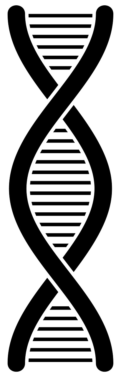 DNA