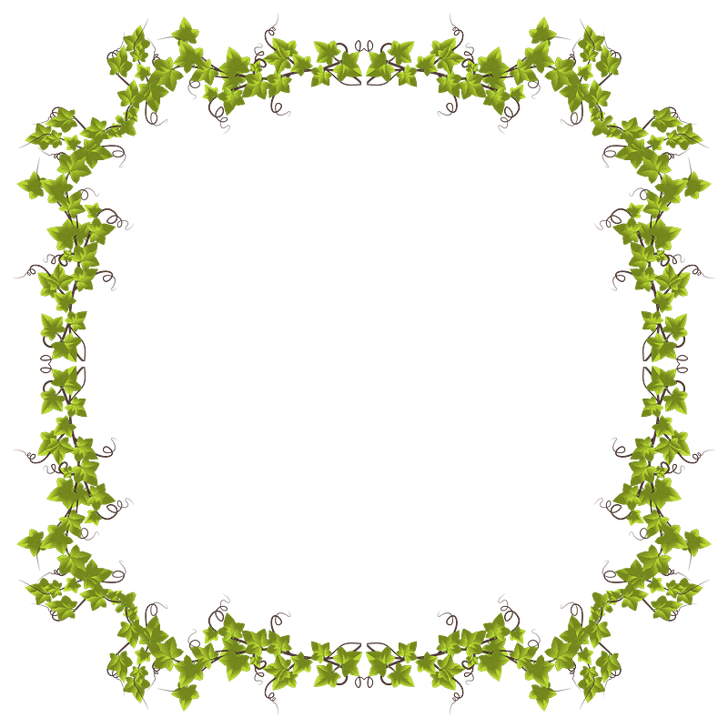 Ivy frame