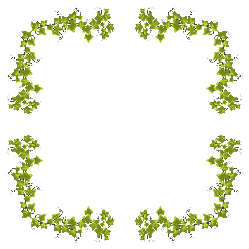 Ivy frame