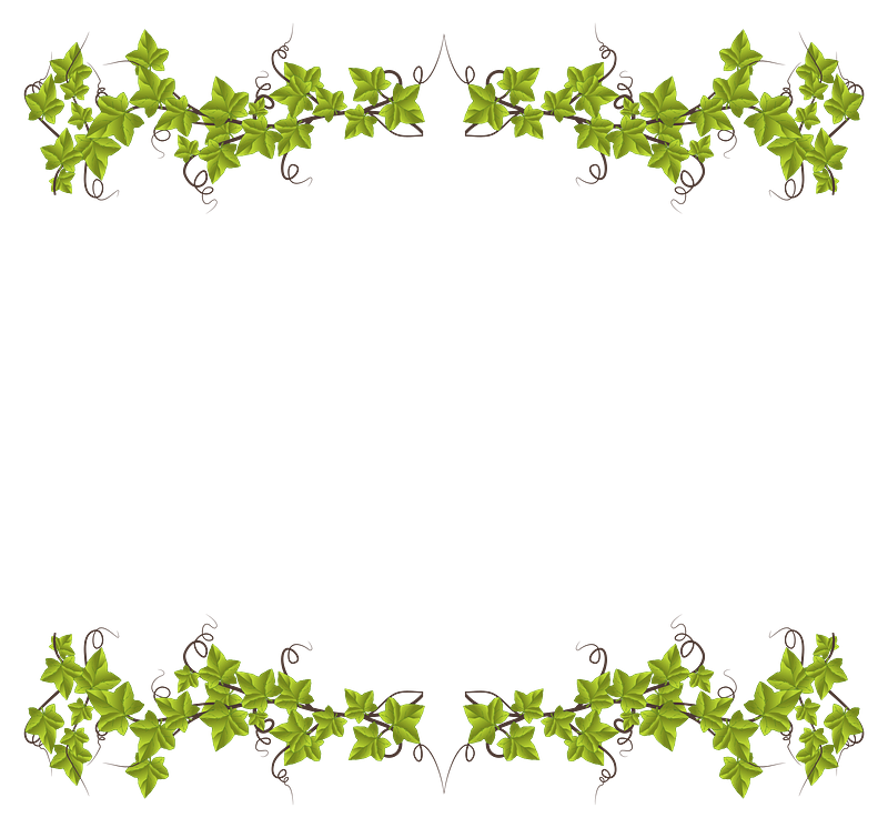 Ivy frame