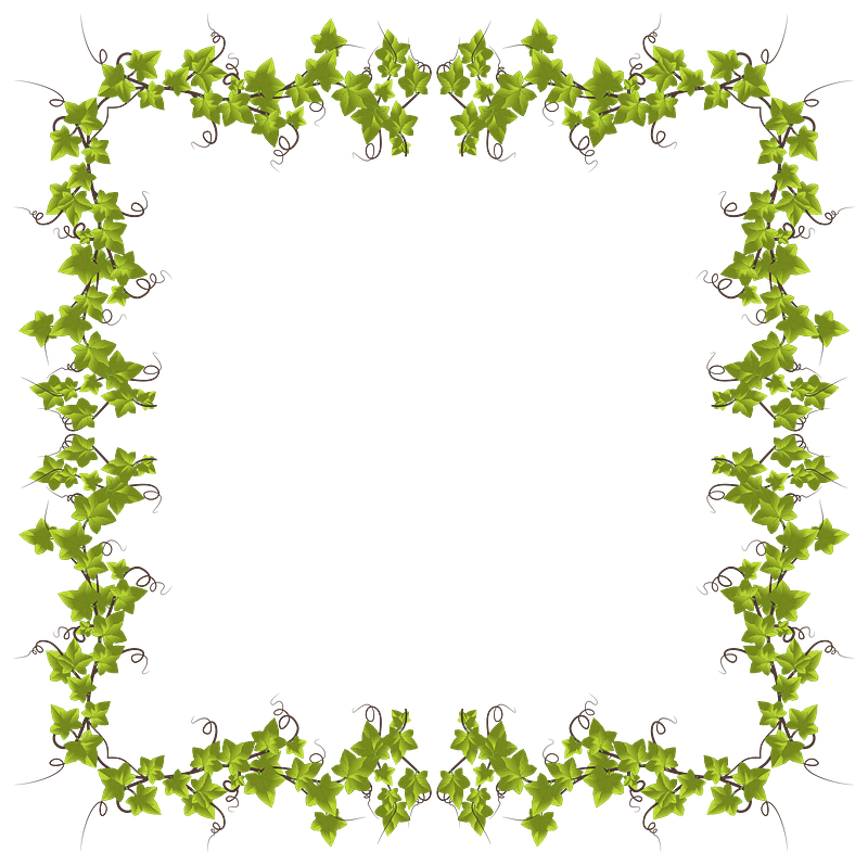 Ivy frame