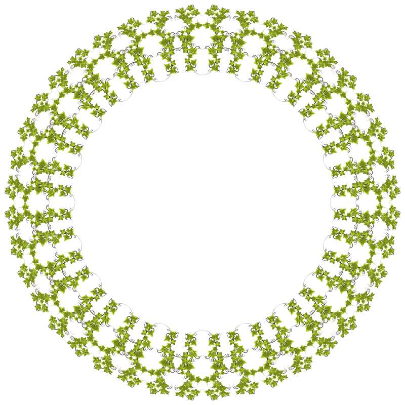 Ivy frame