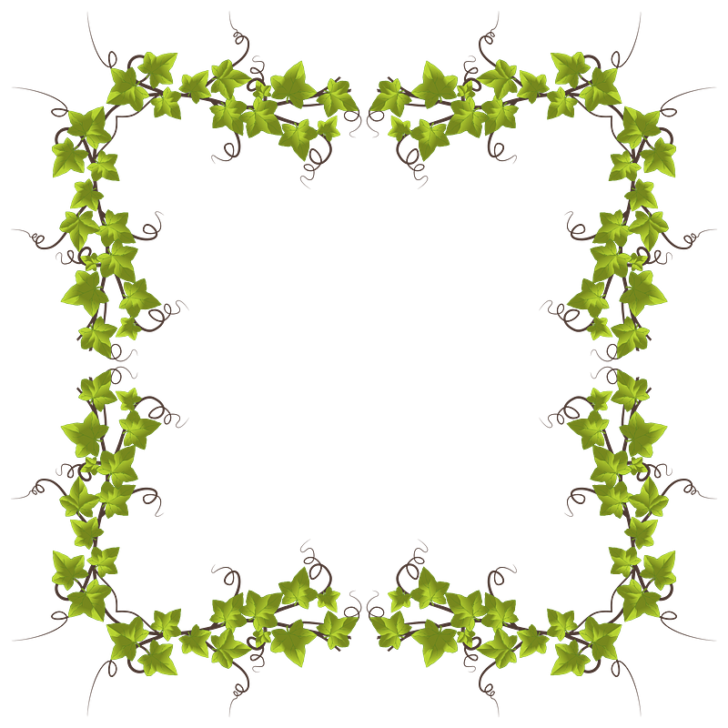 Ivy frame
