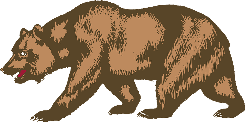 Flag of California - Bear