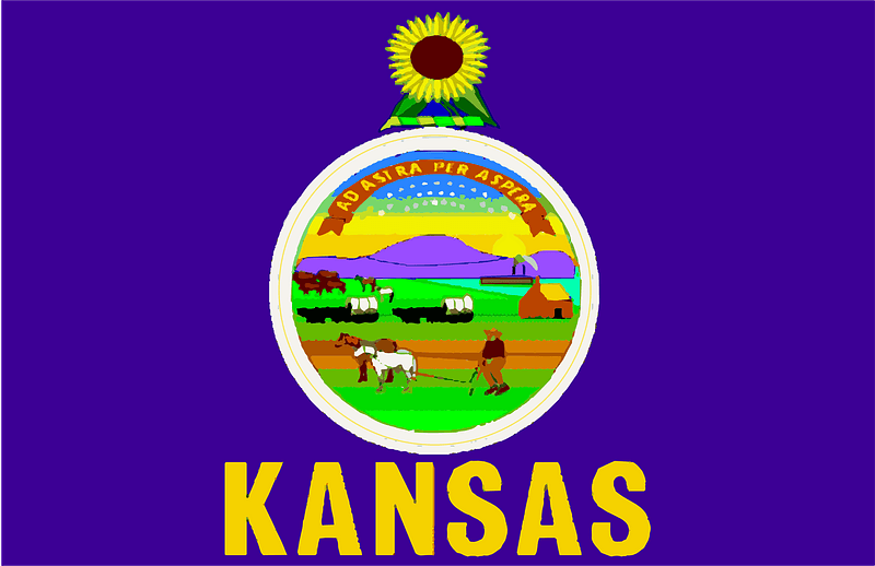 Kansas state flag