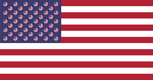 American Flag with Flag Circles