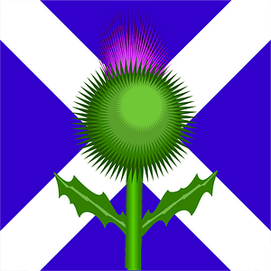Scottish Thistle and Flag