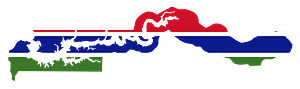 Flag of the Gambia
