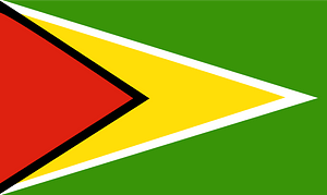 Guyana drapeau 