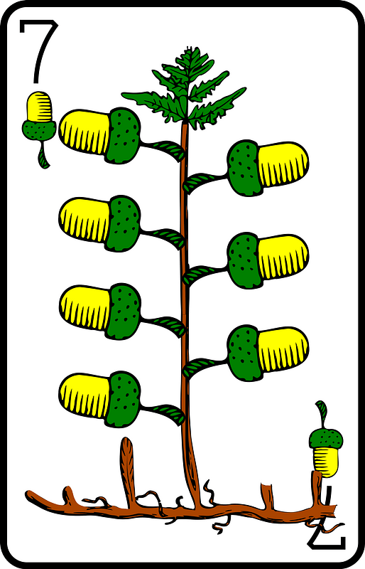 Seven of Acorns
