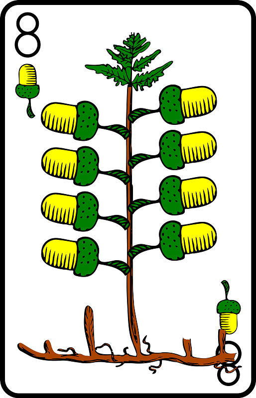 Eight of Acorns