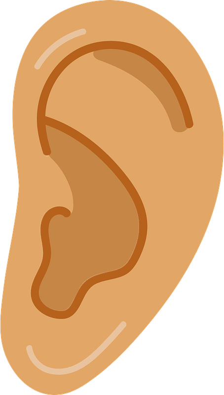 Ear
