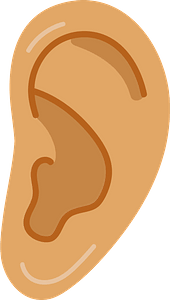 Ear