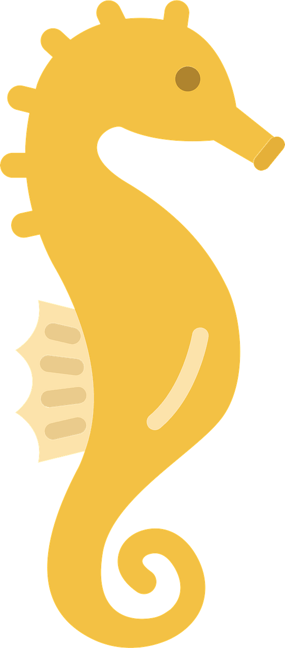 Seahorse