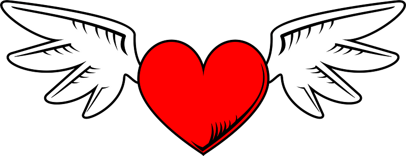 Red heart with wings