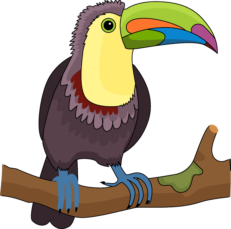 Toucan