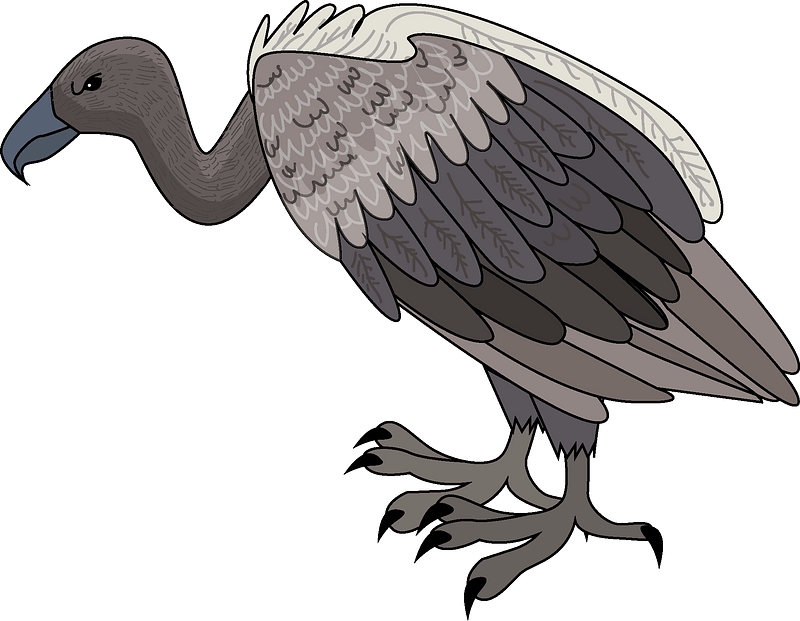 Vulture